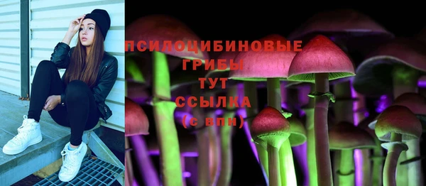 2c-b Алексеевка