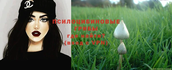 соль ск Алзамай